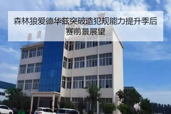 森林狼爱德华兹突破造犯规能力提升季后赛前景展望
