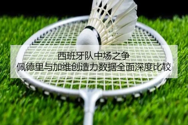 西班牙队中场之争 佩德里与加维创造力数据全面深度比较